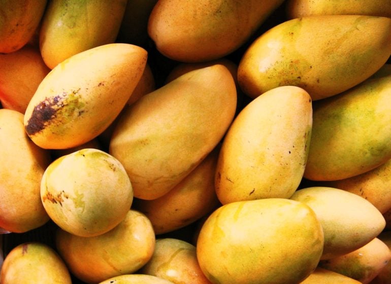 mango